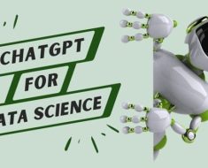 Chatgpt As A Data Scientist