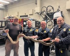 Marco Island, FL police catch large python at swank beach club