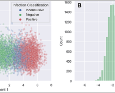 Achieving High Accuracy in Predicting the Probability of Periprosthetic Joint Infection From Synovial Fluid in Patients Undergoing Hip or Knee Arthroplasty: The Development and Validation of a Multivariable Machine Learning Algorithm – Cureus