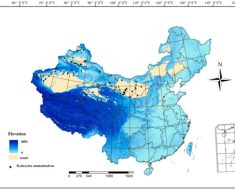 Biology | Free Full-Text | Predicting the Potential Distribution of Haloxylon ammodendron under Climate Change Scenarios Using Machine Learning of a Maximum Entropy Model