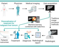 Biomedicines | Free Full-Text | Machine Learning Combined with Radiomics Facilitating the Personal Treatment of Malignant Liver Tumors