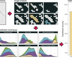 Fibers | Free Full-Text | Pulp Particle Classification Based on Optical Fiber Analysis and Machine Learning Techniques