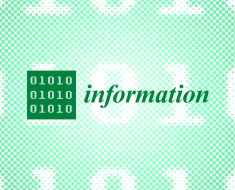 Information | Free Full-Text | Offensive Text Span Detection in Romanian Comments Using Large Language Models