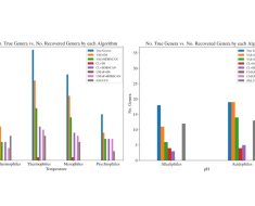 Unveiling Life’s Extremities: Machine Learning and Extremophiles