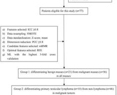 Machine learning-based CT texture analysis in the differentiation of testicular masses