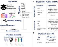 Machine learning and multi-omics data in chronic lymphocytic leukemia: the future of precision medicine?