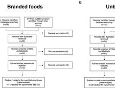 Identifying distinctive brain regions related to consumer choice behaviors on branded foods using activation likelihood estimation and machine learning