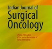 Comment on “From ChatGPT to Treatment: the Future of AI and Large Language Models in Surgical Oncology”