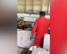 Volunteers catch python slithering over kitchen sink |