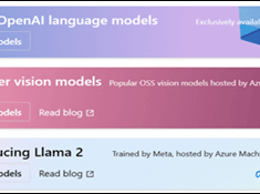 Azure Machine Learning (AML) Gen AI Model Catalog and Prompt Flow