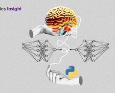 A Guide to Neural Network Development and Prediction