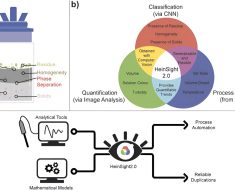 A computer vision and machine learning system that monitors and controls workup processes