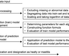 Animals | Free Full-Text | The Prediction of Clinical Mastitis in Dairy Cows Based on Milk Yield, Rumination Time, and Milk Electrical Conductivity Using Machine Learning Algorithms