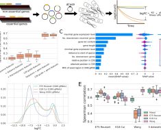 Researchers develop a new machine learning approach