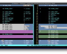 Can you spot the bug in this Python code?