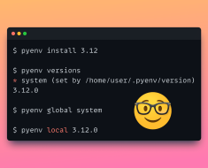 Too Many Python Versions to Manage? Pyenv to the Rescue