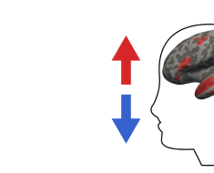 Driving and suppressing the human language network using large language models