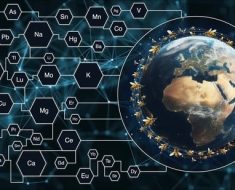 Foods | Free Full-Text | Elemental Fingerprinting Combined with Machine Learning Techniques as a Powerful Tool for Geographical Discrimination of Honeys from Nearby Regions