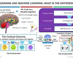 Human Learning, The Knowledge Gap, Machine Learning, The Role of Large Language Models, Future of AI, and All that Jazz