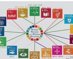 Machine Learning & Agrifood’s Climate Impact