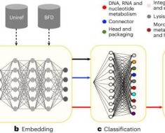 Large language models improve annotation of prokaryotic viral proteins