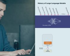 Introduction to Large Language Models for Data Practitioners