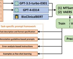 Improving large language models for clinical named entity recognition via prompt engineering | Journal of the American Medical Informatics Association