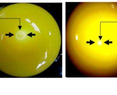 Machine Learning & Hyperspectral Imaging