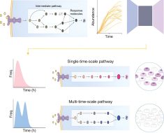 Machine learning reveals sources of heterogeneity among cells in our bodies