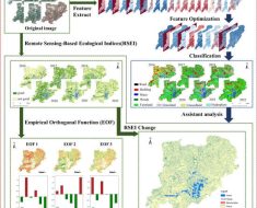 Remote Sensing | Free Full-Text