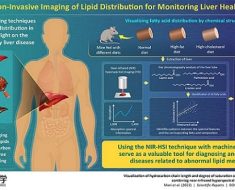 Machine Learning Hones NIR-HSI’s Ability to Identify Liver Disease | Research & Technology | Jan 2024