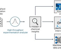 Revolutionizing Drug Discovery with Chemical Reactome and Machine Learning