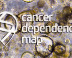 Machine Learning and Cancer Dependency Map