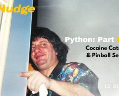 Part II of The Unauthorized Hagiography of Python Anghelo  — Nudge