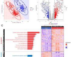 Biomolecules | Free Full-Text | Identifying OGN as a Biomarker Covering Multiple Pathogenic Pathways for Diagnosing Heart Failure: From Machine Learning to Mechanism Interpretation