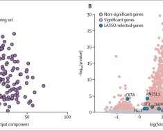 Leveraging Machine Learning to Predict Bacterial Co-infections in Severe COVID-19 Cases