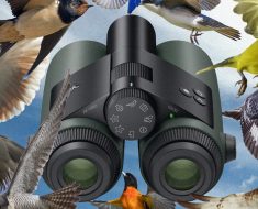 I Went Birding With the World’s First AI-Powered Binoculars